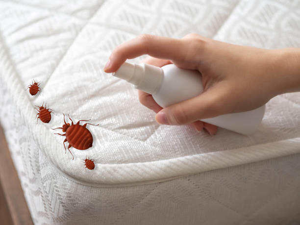 Best Emergency Pest Control  in Roosevelt, NY